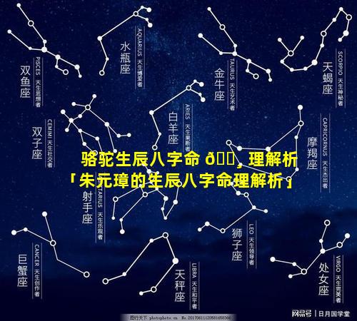 骆驼生辰八字命 🕸 理解析「朱元璋的生辰八字命理解析」